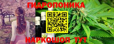 СК Пыть-Ях