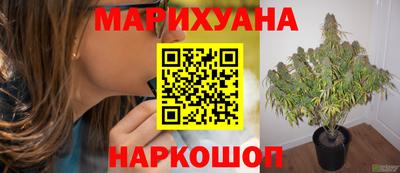 гидропоника Пенза