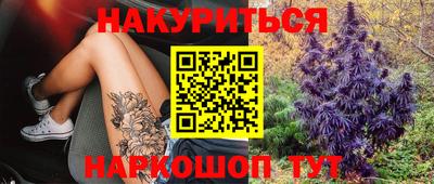 гидропоника Пенза