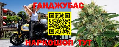 гидропоника Пенза