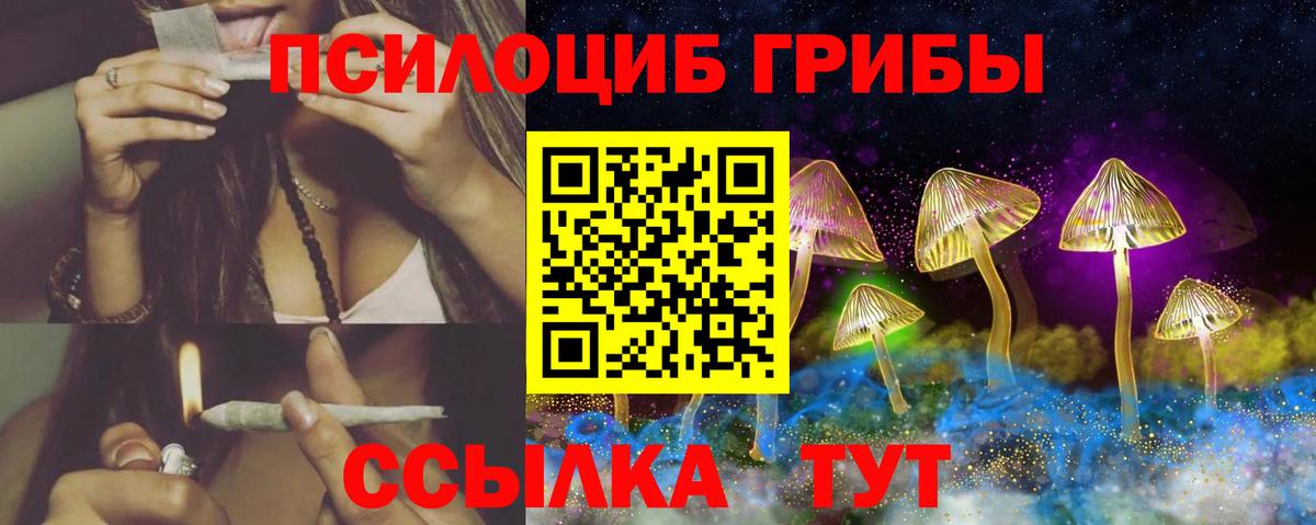 Псилоцибиновые грибы Cubensis  Вход с VPN  Псилоцибиновые грибы MAGIC MUSHROOMS  Северск 